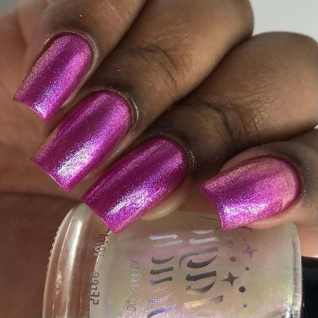 Jellyfish